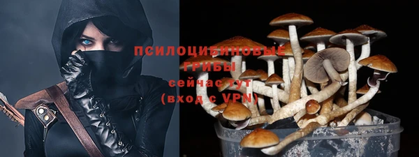 мескалин Аркадак