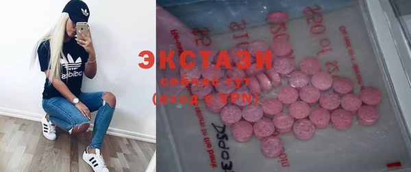 хмурый Арсеньев