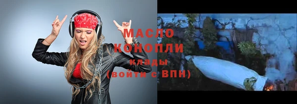хмурый Арсеньев