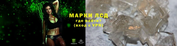 хмурый Арсеньев