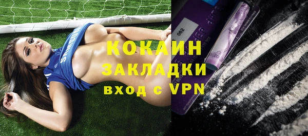 хмурый Арсеньев