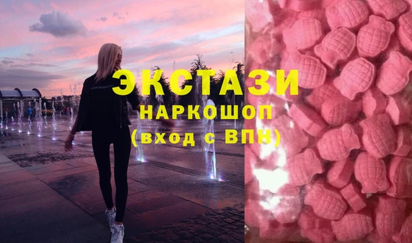 хмурый Арсеньев