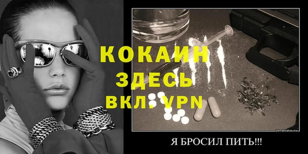 хмурый Арсеньев