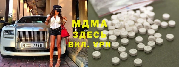 хмурый Арсеньев