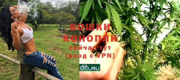 хмурый Арсеньев
